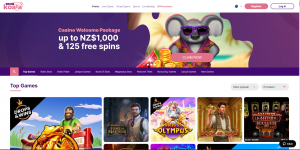 Lucky Koala Casino Review New Zealand